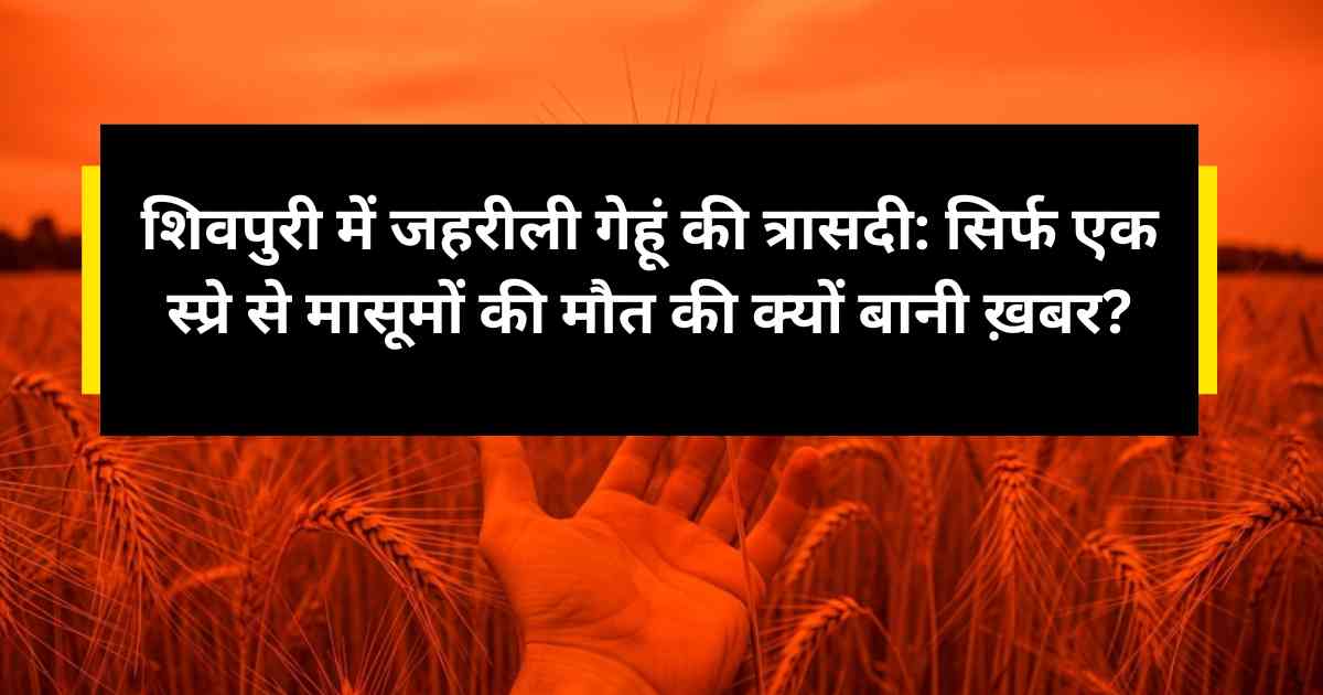 शिवपुरी में जहरीली गेहूं की त्रासदी: सिर्फ एक स्प्रे से मासूमों की मौत की क्यों बानी ख़बर?